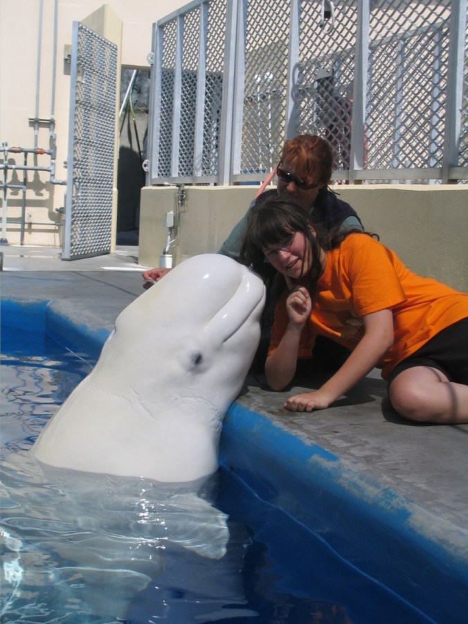 Photo of the author getting kissed by a beluga whale