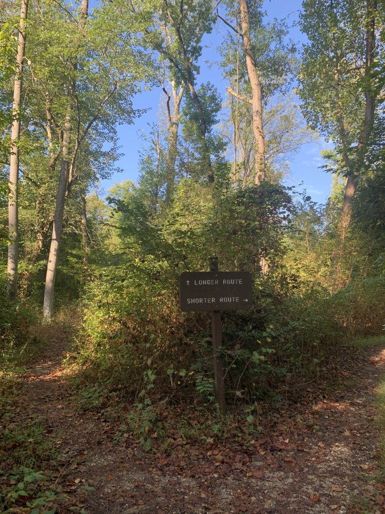 A forest path with two forks, pointed out by a sign. One side says "Longer route," and one side says "Shorter route."