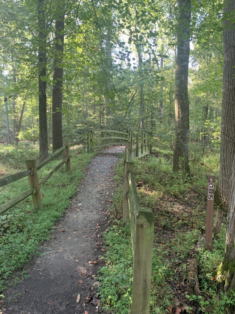 A bridge in a forest. A post near the path shows icons of a person on horseback and a person walking a dog.